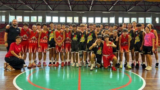 Pallacanestro under 17